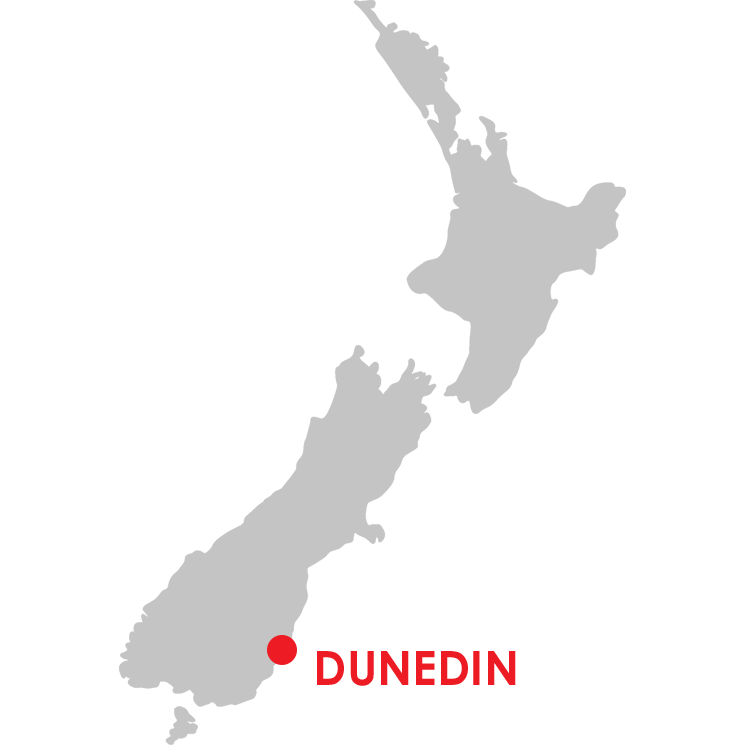 Dunedin City Map