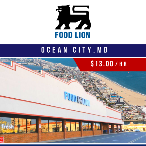 Food Lion - Ocean City | American Learning | ALC