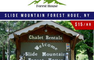Slide Mountain Forest House